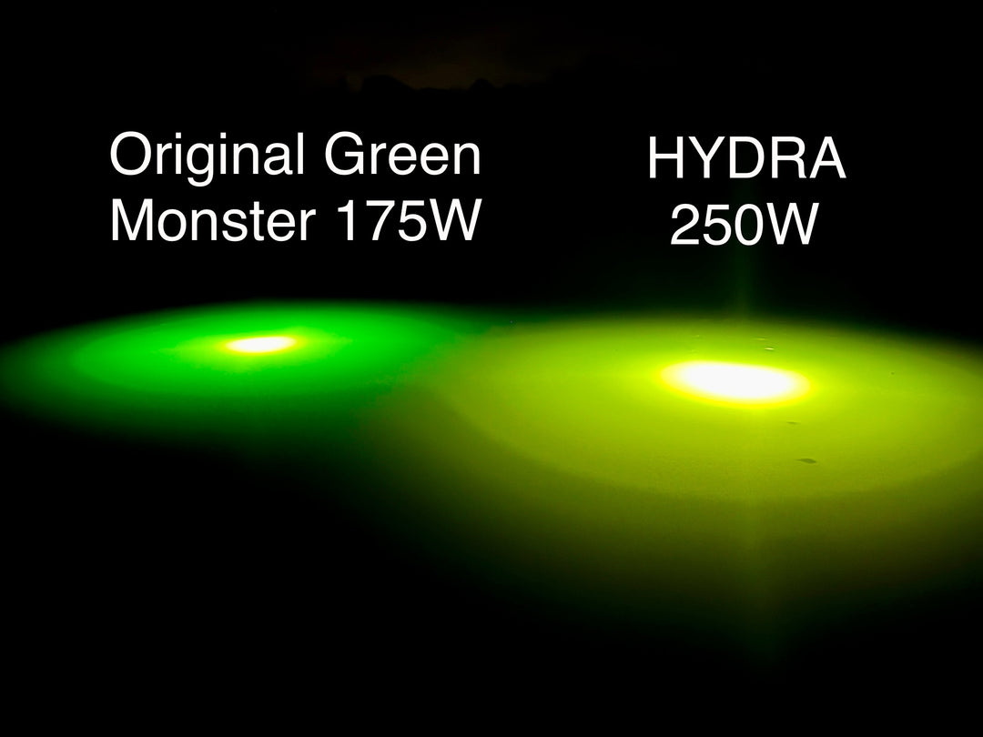 Hydra Super Bright Single Light Kit (250 Watts)